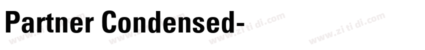 Partner Condensed字体转换